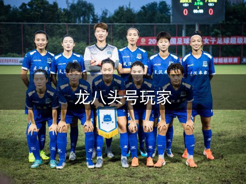 网站概况